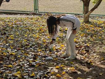 e863d00d31e6e0924dce43e015a9e17c e863d00d31e6e0924dce43e015a9e17c