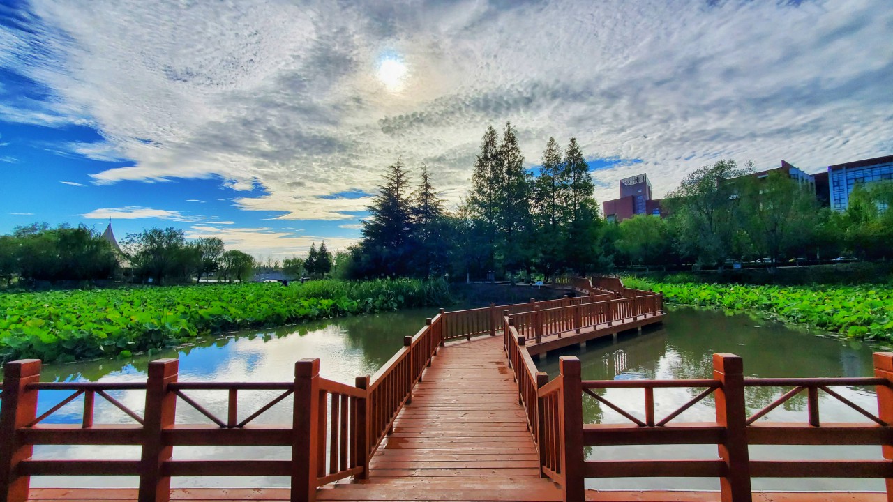 雨后新景（摄影：李守春）